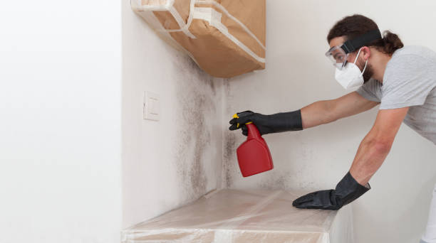 Professional Commercial Mold Remediation technician working in Rougemont, NC