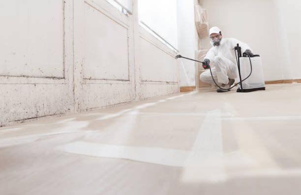 24/7 Emergency Commercial Mold Remediation experts in Rougemont, NC