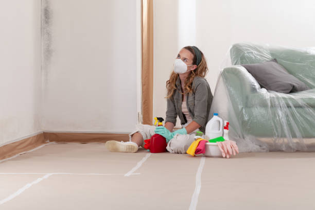 Reliable Commercial Mold Remediation contractor in Rougemont, NC by WQB Mold Removal